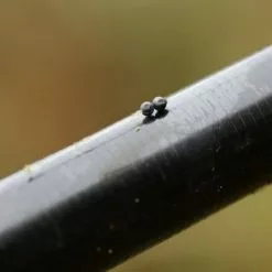 Lood Micro Shot - Guru 6 Lood Micro Shot - Guru -Goedkope Mini-Prijs Hengels Winkel 1266185756