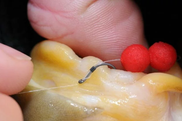 Haken QM1 Hook - Guru 4 Haken QM1 Hook - Guru - Afbeelding 4