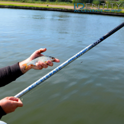 Cresta - Vaste Hengel Identity Accelerate Pro Whip - Cresta 11 Cresta - Vaste Hengel Identity Accelerate Pro Whip - Cresta -Goedkope Mini-Prijs Hengels Winkel 1590479701